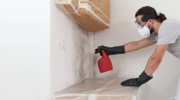 Professional Mold Cleanup technician working in Cold Spring Harbor, NY